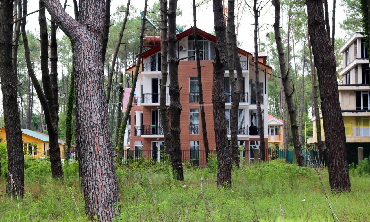 Gina Shekvetili Hotel Екстериор снимка