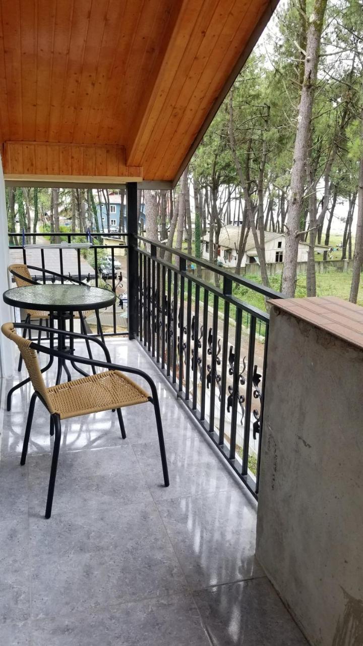 Gina Shekvetili Hotel Екстериор снимка
