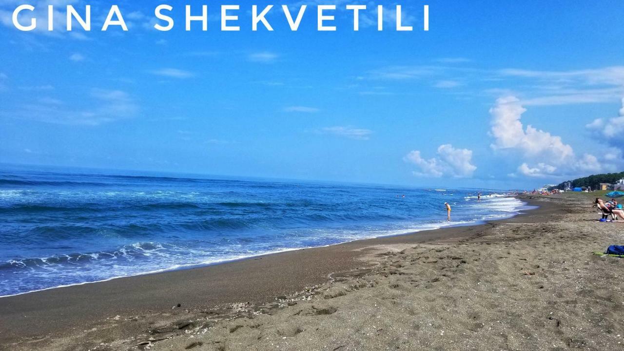 Gina Shekvetili Hotel Екстериор снимка